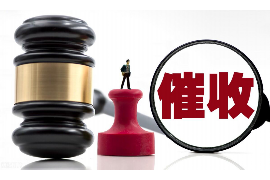 催收要核实经济情况吗？